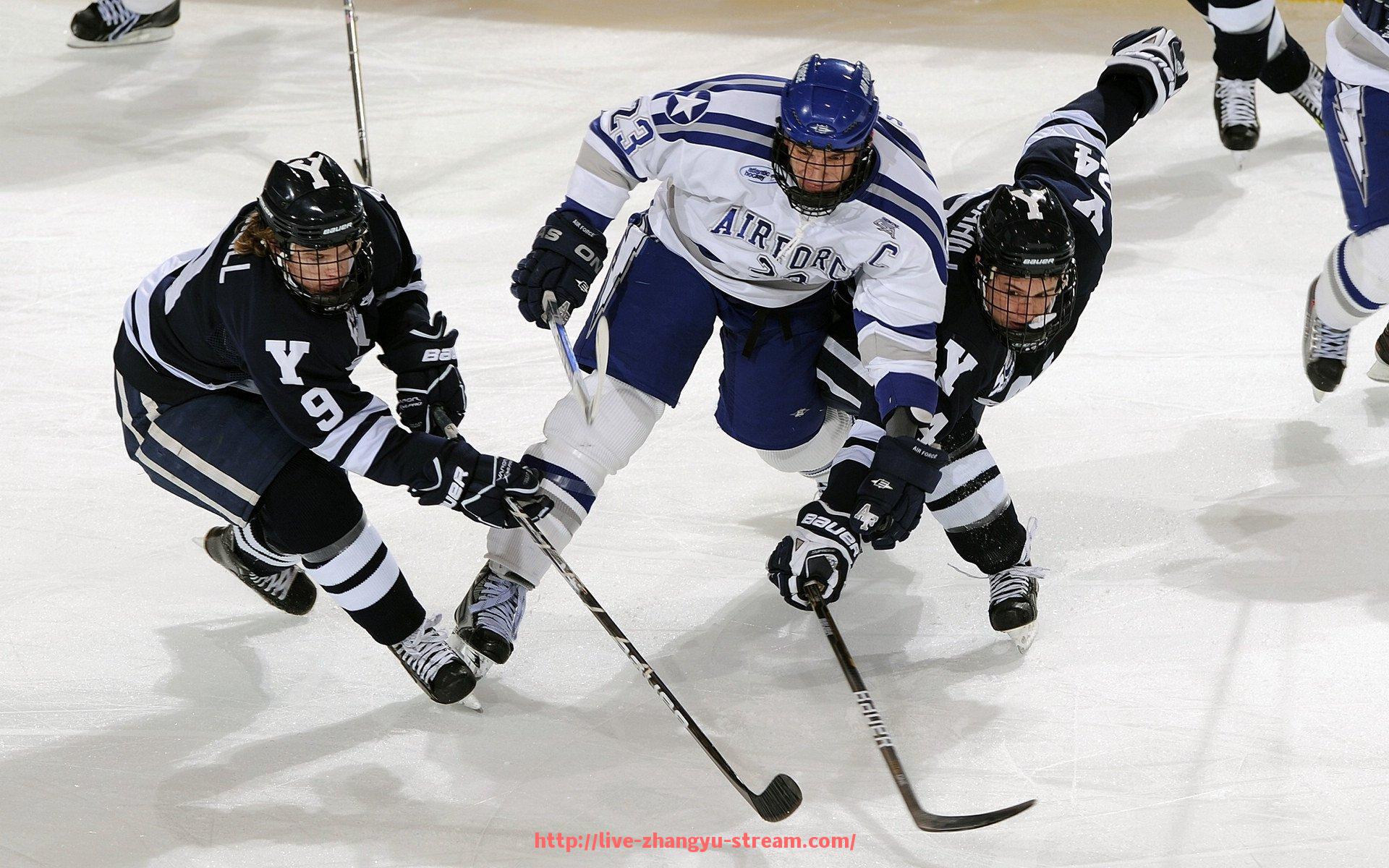 章鱼直播-欧冠锦标赛历史回顾